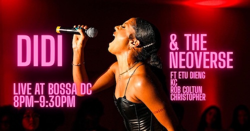 Didi + The Neoverse